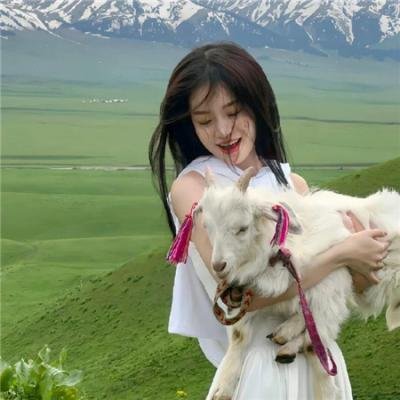 上海狂想曲
