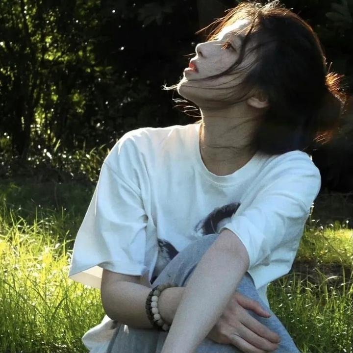 小迪克西